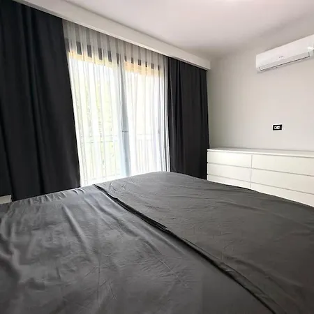 Modus Semi-detached 무글라