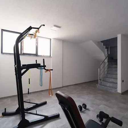 Modus Semi-detached 무글라